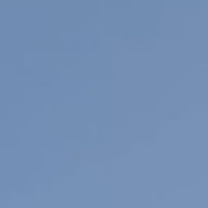 Meet your Posher, Eva